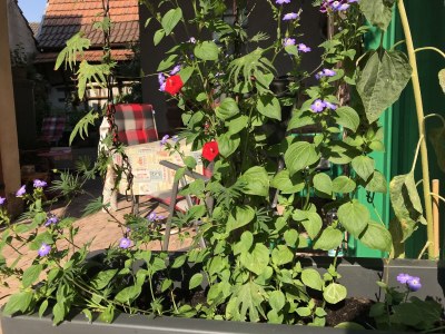 Holiday house Wine farmer's house Fischergasse 1 - Outdoor photo 4