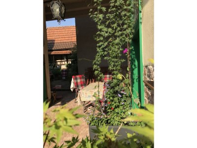 Holiday house Wine farmer's house Fischergasse 1 - Outdoor photo 6