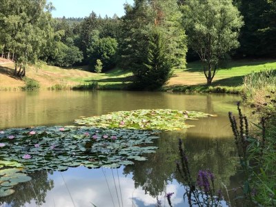 Holiday house Wine farmer's house Fischergasse 1 - Environment photo 36