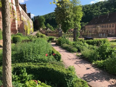 Holiday house Wine farmer's house Fischergasse 1 - Environment photo 38