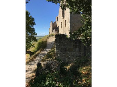 Holiday house Wine farmer's house Fischergasse 1 - Environment photo 40