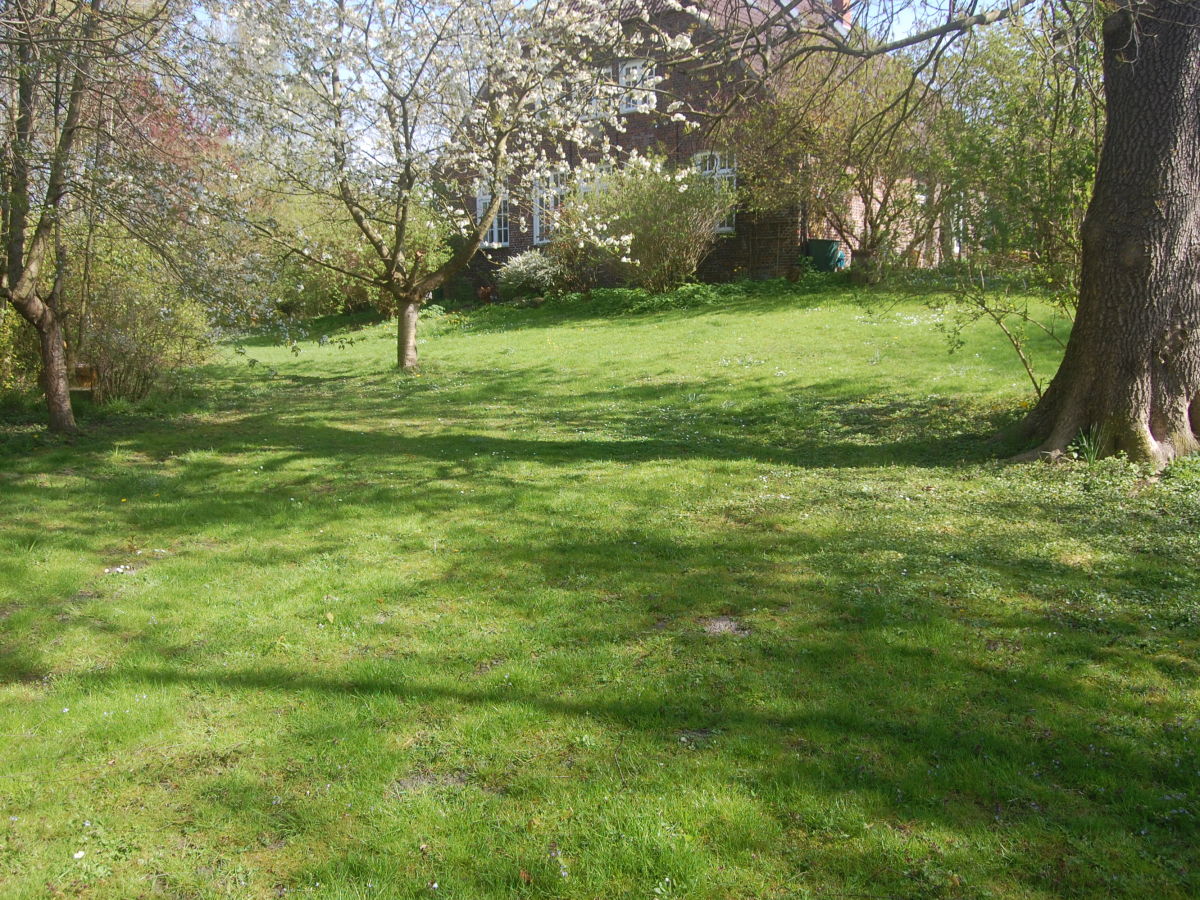 Cottage Haus "Auf der Höchte" - Outdoor photo 5