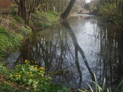 Cottage Haus "Auf der Höchte" - Outdoor photo 6