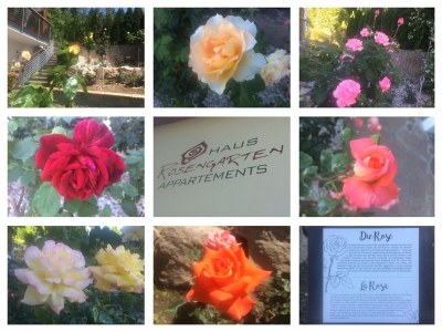 Holiday apartment Haus Rosengarten C&D - Outdoor photo 4