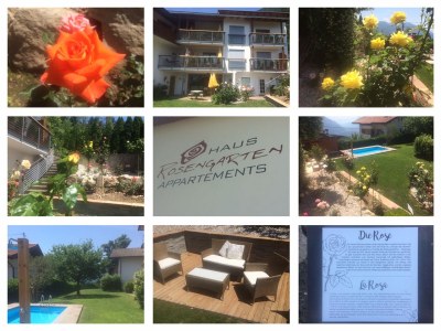 Holiday apartment Haus Rosengarten C&D - Outdoor photo 8