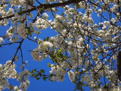 Holiday apartment Kälberstall - Outdoor photo 7