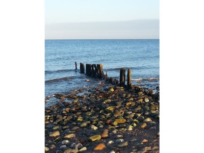 Holiday apartment Kälberstall - Environment photo 16