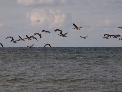 Holiday apartment Kälberstall - Environment photo 20