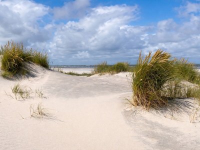 Holiday apartment Amelander Paraijs 18 - Outdoor photo 8