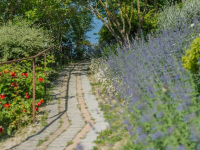 Villa Amata - Outdoor photo 10