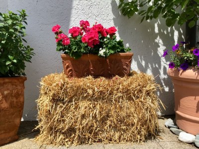 Holiday apartment Ferienwohnung - Outdoor photo 4