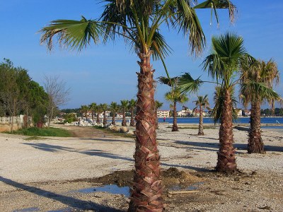 Holiday apartment In the house Evita - Environment photo 22