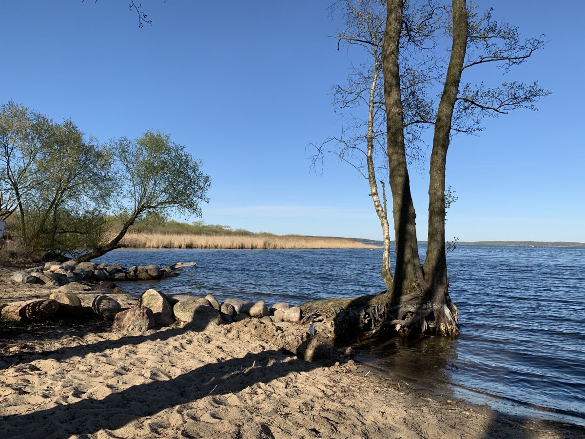 Apartment Lake view apartment - Suite - Weisses Haus Plau - Outdoor photo 4