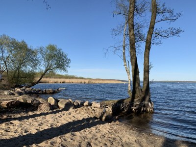 Apartment Lake view apartment - Suite - Weisses Haus Plau - Outdoor photo 4
