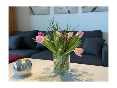 Apartment Lake view apartment - Suite - Weisses Haus Plau - Features photo 15