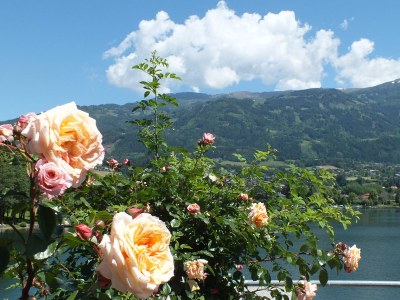 Holiday apartment Heitzmann - Environment photo 26