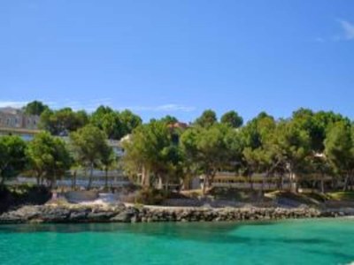 Cottage Villa in Mallorca with Private Pool - Environment photo 30