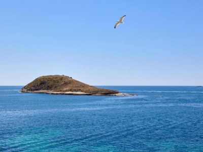 Cottage Villa in Mallorca with Private Pool - Environment photo 32