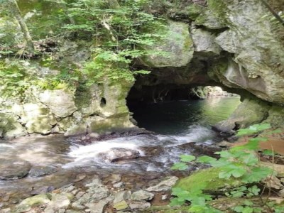 Holiday house Holiday Home near Santander Beach - Environment photo 36