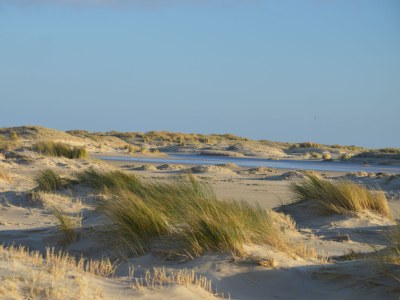 Holiday house Hoog Koog Nr. 15 - Environment photo 13