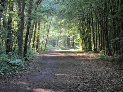 Holiday house Hoog Koog Nr. 15 - Environment photo 16