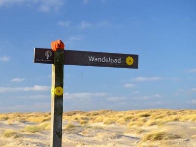 Holiday house Hoog Koog Nr. 15 - Environment photo 17