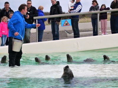 Holiday house Hoog Koog Nr. 15 - Environment photo 18