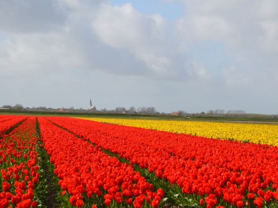 Holiday house Hoog Koog Nr. 15 - Environment photo 19