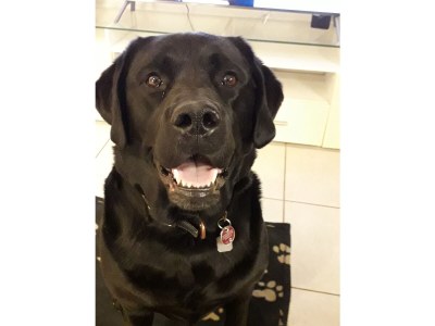 Holiday apartment 'ÜberFluss' - die Große - Environment photo 30