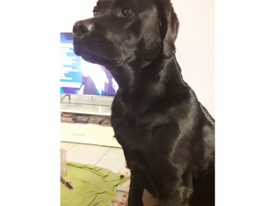 Holiday apartment 'ÜberFluss' - die Große - Environment photo 31