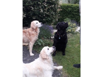 Holiday apartment 'ÜberFluss' - die Große - Environment photo 32