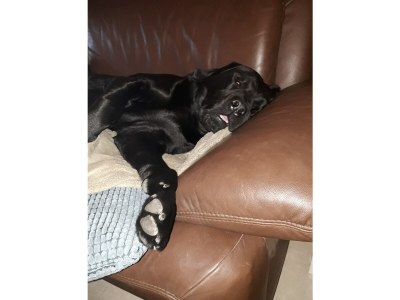 Holiday apartment 'ÜberFluss' - die Große - Environment photo 36