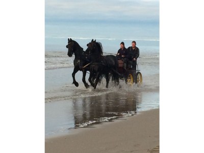 Holiday house Villa MeerZeit - Environment photo 17