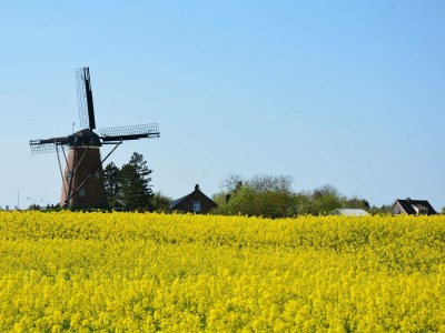 Bungalow - No title - - Environment photo 19