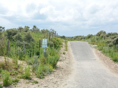 Bungalow - No title - - Environment photo 24