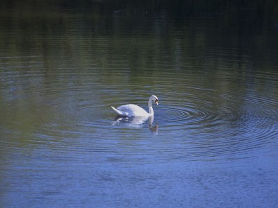 Holiday apartment Elbperle - Outdoor photo 3