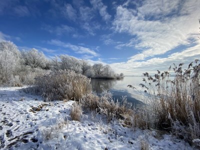 Holiday apartment Elbperle - Outdoor photo 6