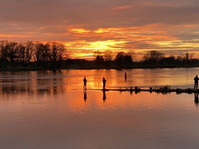 Holiday apartment Elbperle - Environment photo 23