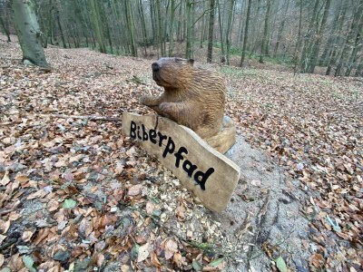 Holiday apartment Elbperle - Environment photo 24