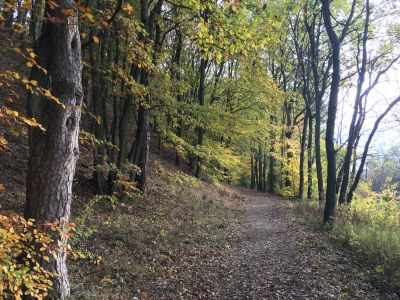 Holiday apartment Elbperle - Environment photo 25