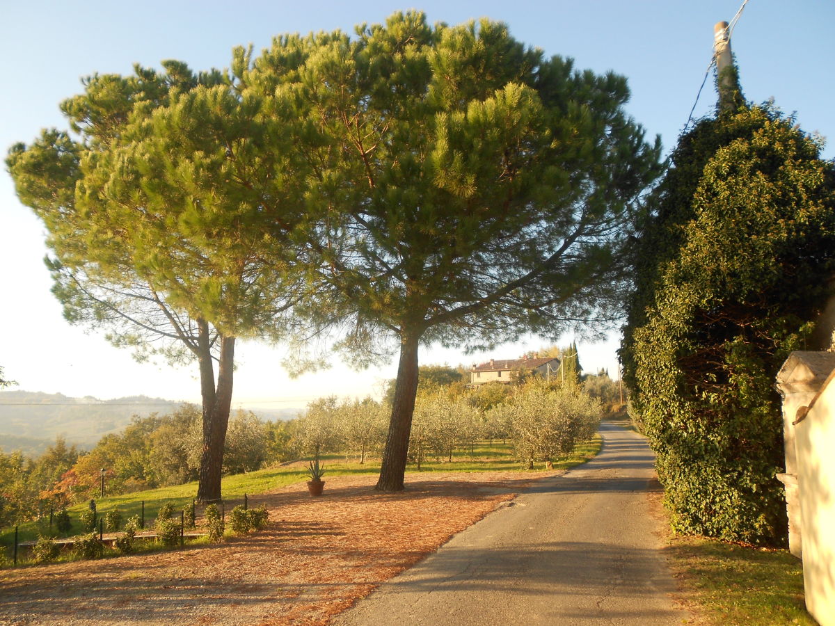 Holiday apartment La Casetta - Outdoor photo 3