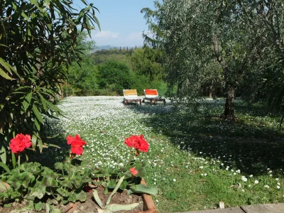 Holiday apartment La Casetta - Outdoor photo 7