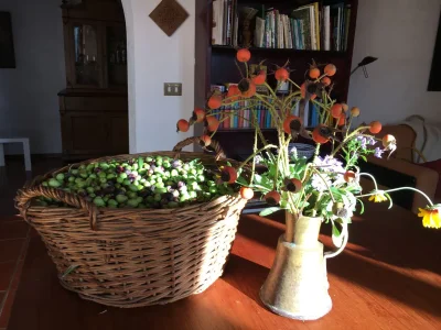 Holiday apartment La Casetta - Outdoor photo 8