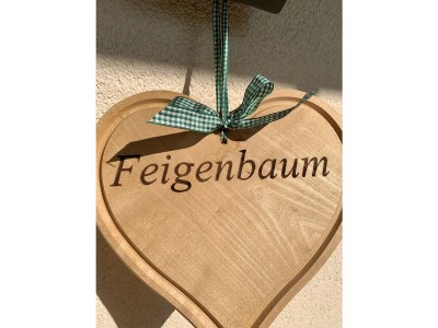 Holiday apartment Feigenbaum - Outdoor photo 9