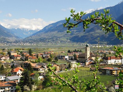 Holiday apartment Feigenbaum - Environment photo 20