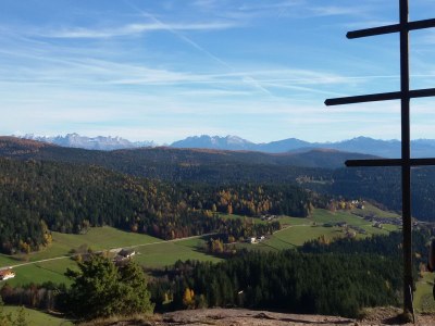 Holiday apartment Feigenbaum - Environment photo 21