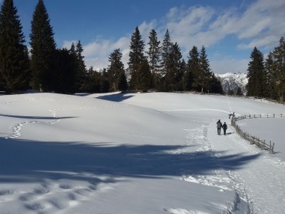 Holiday apartment Feigenbaum - Environment photo 22