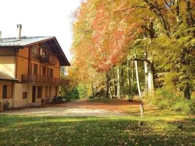 Holiday apartment Wood clearing at the park chalet - Outdoor photo 5