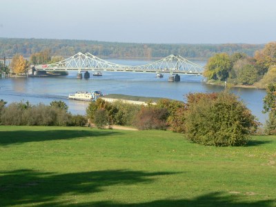 Holiday apartment Wood clearing at the park chalet - Environment photo 14