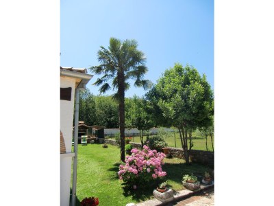 Holiday apartment Casa Amica Apartment 1 - Features photo 19